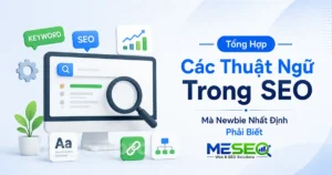 các thuật ngữ trong seo