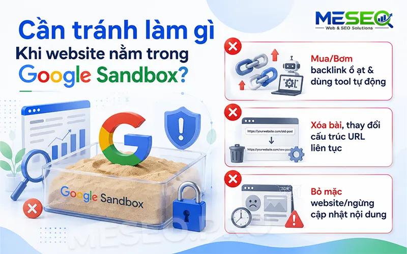 Cần tránh làm gì trong giai đoạn website nằm trong Google Sandbox?